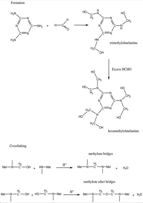 Formation And Cross Linking Of Melamine Formaldehyde Resins From