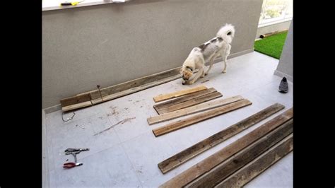 Porch potty DIY for a dog( first attempt) - YouTube