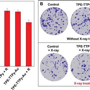 A Cell Viability Of 4T1 Cells Stained With Different Concentrations Of