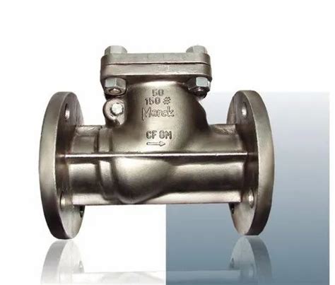 Ss Non Return Valve At Best Price In India