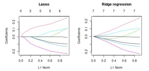 Lasso Geometrical Interpretation Of Why Can T Ridge Regression Shrink