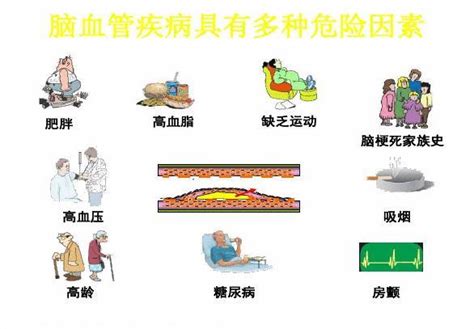 脑血管病健康宣教手册word文档在线阅读与下载免费文档