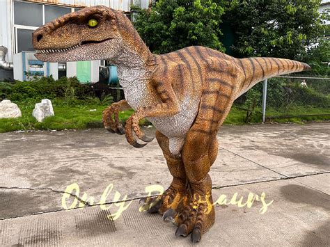 Vivid Velociraptor Realistic Costume Only Dinosaurs