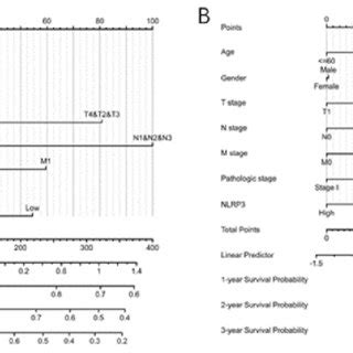 The Nomogram To Predict The Overall Year Year And Year Survival