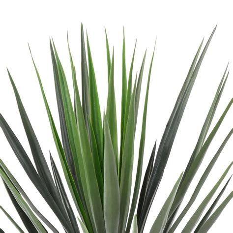 Yucca Artificiel Rostrata 78 00