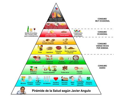 Educación Deporte y Salud Pirámide de la salud notas del bloque