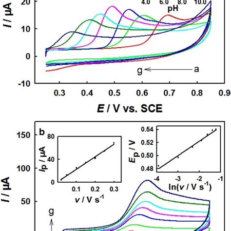 A Cv Curves Of M Bpa At The D C Mos Gce In M Pbs At