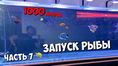 Часть 7 Запуск рыбы Морской аквариум на тонну Youtube