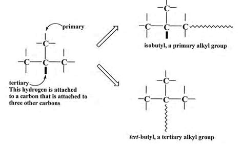 SOLVED Primary Isobutyl Primary Alkyl Group Tertiary This Hydrogen