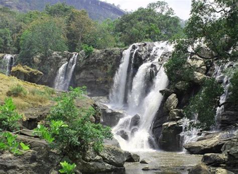 Chinnar Wildlife Sanctuary Munnar - An Eco-tourism Spot Kerala