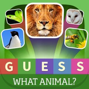 Guess What? Animal Quiz - Popular Animals In The World - Word