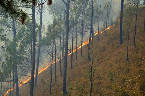 Uttarakhand Is Burning Forest Fire Breaks Out In The Pauri Garhwal