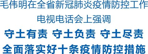 毛伟明：守土有责 守土负责 守土尽责 全面落实好十条疫情防控措施领导活动政务频道红网