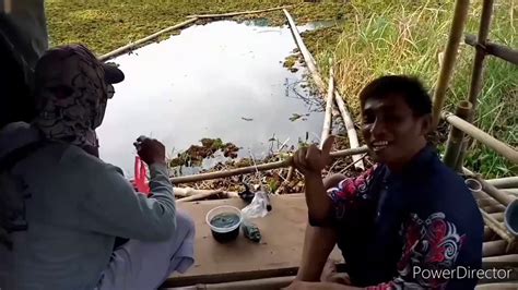 Mancing Sensasi Strek Sehabis Hujan Ikan Nila Ya Babon Babon