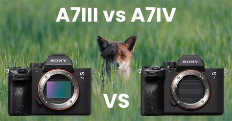 Sony A7III vs A7IV - A Detailed Comparison - Alpha Shooters