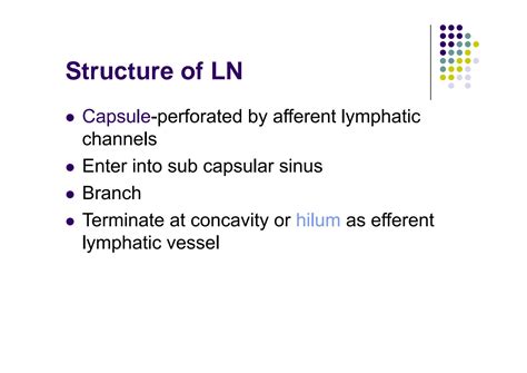 Solution Lymph Nodes Studypool