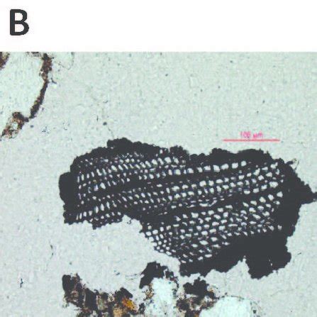 Micropictographs Of Inclusions Within Discard Deposit B A Angular