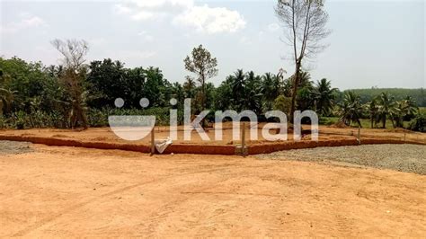 Valuable Land For Sale Bellapitiya Ikman