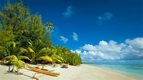 Nature Landscape Beach Palm Trees Sea Shrubs Sand Island