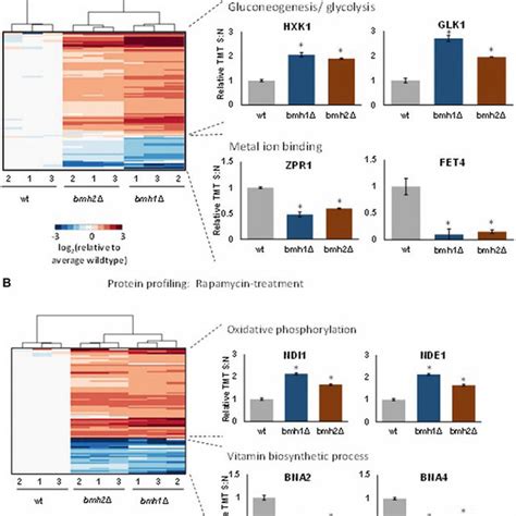 Clustering Diagrams Of Proteins With Statistically Significant Download Scientific Diagram