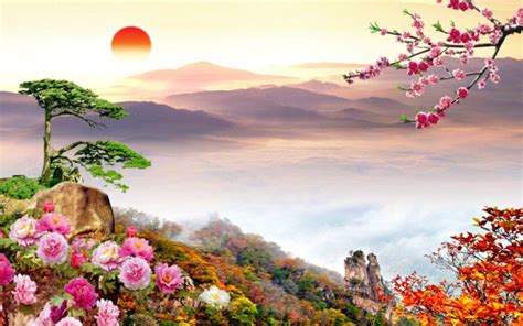 Flower Scenery Wallpapers - Top Free Flower Scenery Backgrounds ...