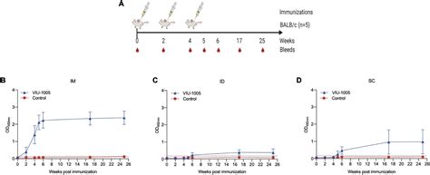 Frontiers Synthetic Sars Cov Spike Based Dna Vaccine Elicits Robust