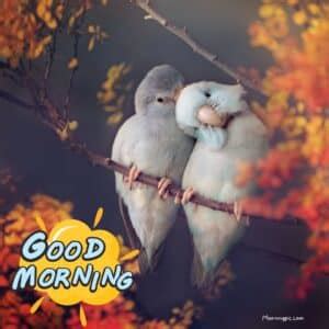 Good Morning Birds Images To Soar Your Spirits High