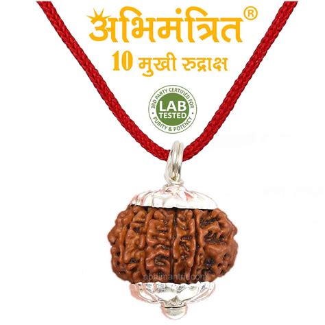 10 Mukhi Rudraksha @ Best Price Abhimantrit™