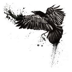 88 Raven tattoos ideas | raven tattoo, tattoos, crow tattoo