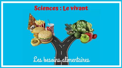 Les Besoins Variables En Aliments De L Tre Humain Cm