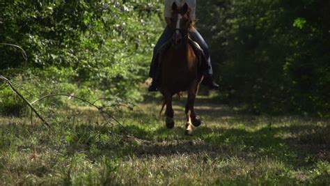 Female Rider On Sweating Galloping Horse In Slow Motion Stock Footage Video 2823853 - Shutterstock