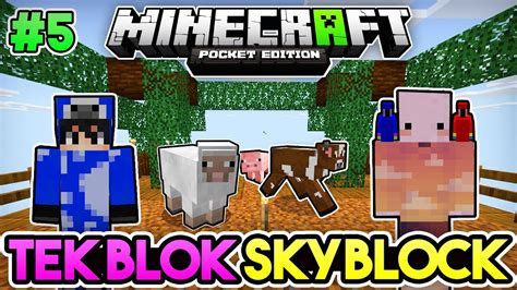 BOL BOL ZÜMRÜT VE HAYVANCILIK Minecraft PE Tek Blok Skyblock