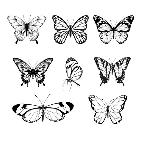 Set of Butterflies - Black and White Butterfly Collection 10938833 ...