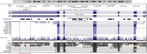 Gain Of Functional Mirna Targets In Humans Through Alus Lack Of