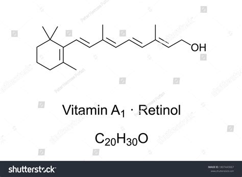 Vitamin A1 Retinol Axerophthol Chemical Structure Stock Vector Royalty