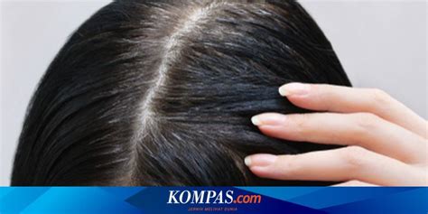 4 Cara Mencegah Rambut Beruban Di Usia Muda