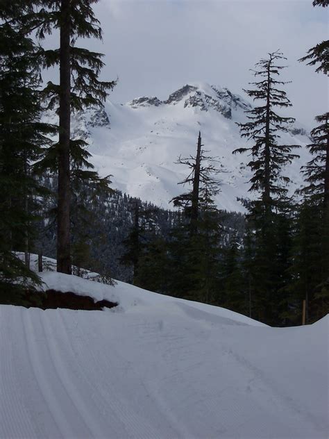 Whistler Olympic Park Just Gopher It