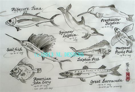 Sea Life Sketches at PaintingValley.com | Explore collection of Sea ...