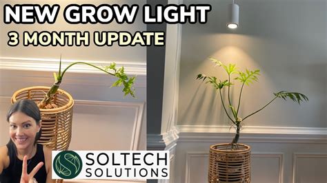 Fast Plant Growth 3 Month Grow Light Update Soltech Solutions Best