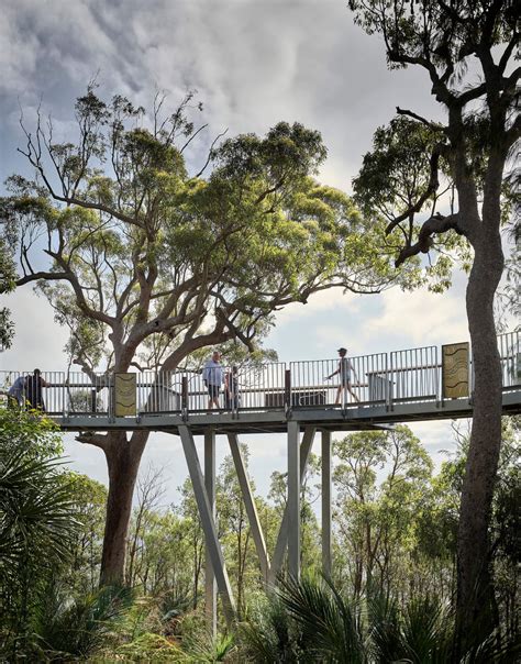 Mt Archer Treetop Boardwalk And Park Revitalization By Design