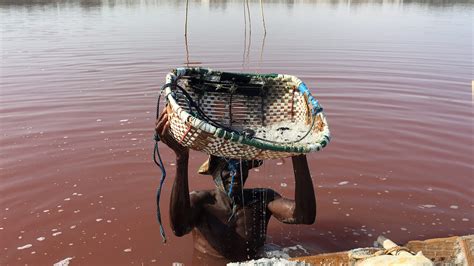 Descobrir Imagem Lago Rosa Do Senegal Br Thptnganamst Edu Vn