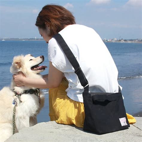 【楽天市場】【人気特典付き】愛犬のお散歩に お散歩帆布バッグm 軽い 丈夫 かっこいい お散歩 ショルダーバッグ デロリアンズ