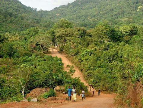 Green Scenery Sierra Leone