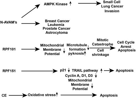 Anticancer Activity Of Natural And Synthetic Capsaicin Analogs Journal Of Pharmacology And