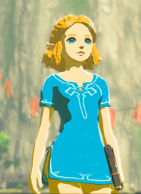 Linkle Champion Tunic Cosplay The Legend Of Zelda Breath Of The Wild Wiiu Mods