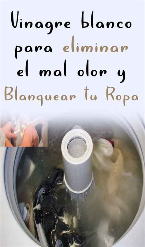 Vinagre Blanco Para Blanquear La Ropa Blanca Online Dakora Co