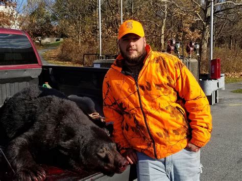 Bear Harvest Following The Opening Of Firearms Season Over The Weekend