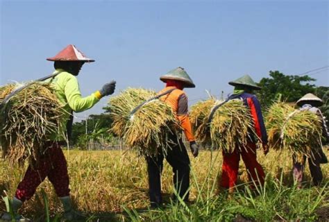 Berikan Kontribusi Terbesar Terhadap Pdrb Pemerintah Kabupaten Luwu