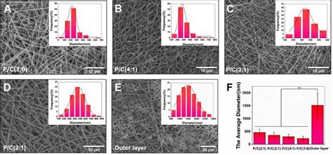 Sem Images And Histograms Of The Distribution Of Fiber Diameters In The