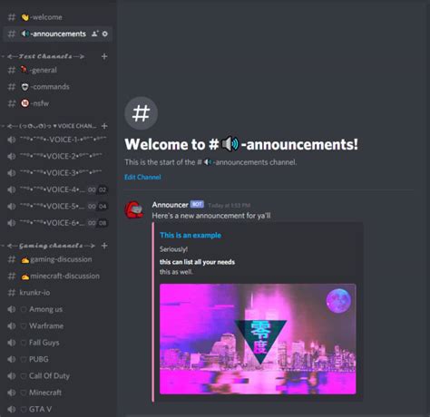 Create A Discord Server To Your Liking By Debts Fiverr